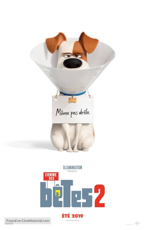 The Secret Life of Pets 2 - French Movie Poster