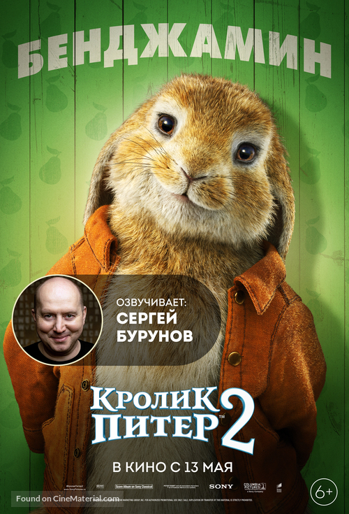 Peter Rabbit 2: The Runaway - Russian Movie Poster