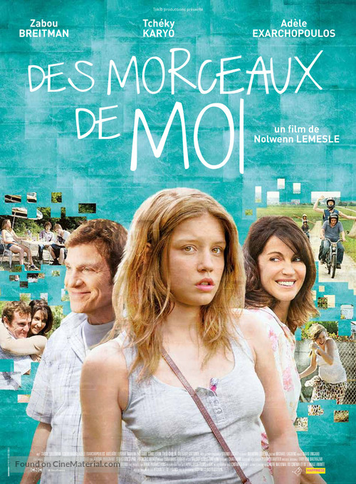 Des morceaux de moi - French Movie Poster