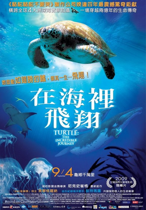 Turtle: The Incredible Journey - Taiwanese Movie Poster