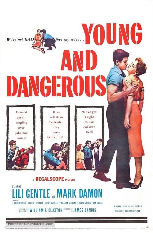 Young and Dangerous - Movie Poster