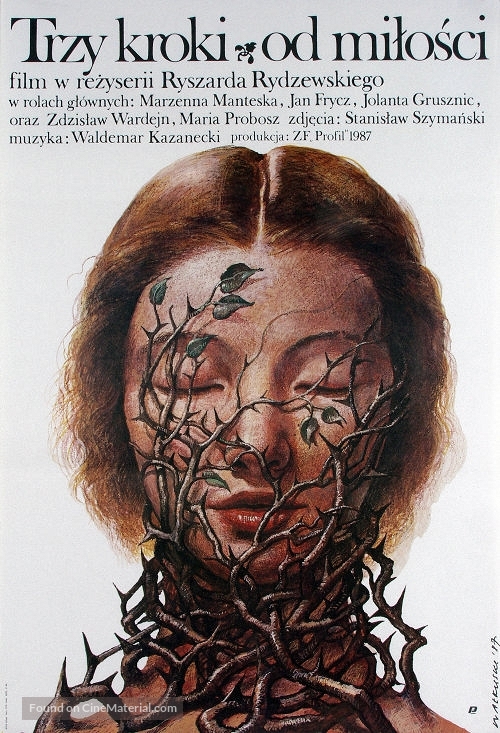 Trzy kroki od milosci - Polish Movie Poster
