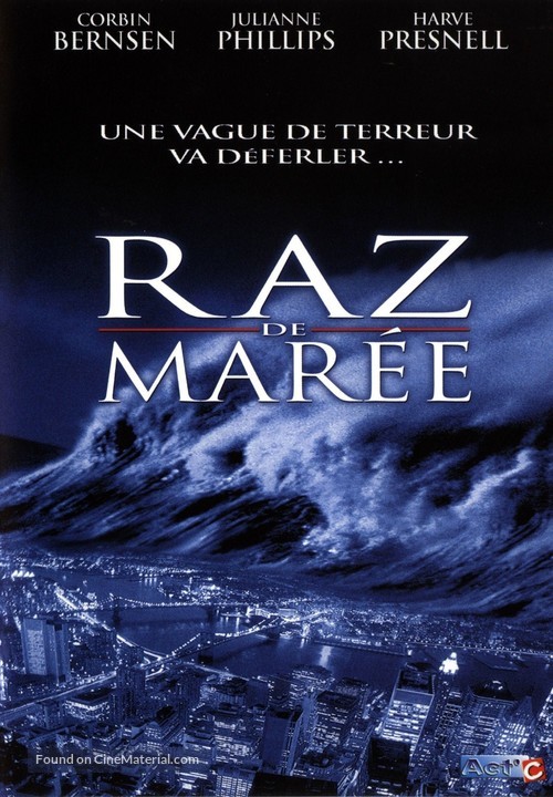 Tidal Wave: No Escape - French DVD movie cover