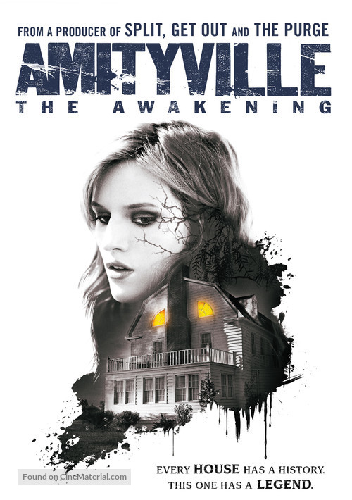 Amityville: The Awakening - DVD movie cover