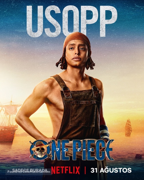 &quot;One Piece&quot; - Turkish Movie Poster