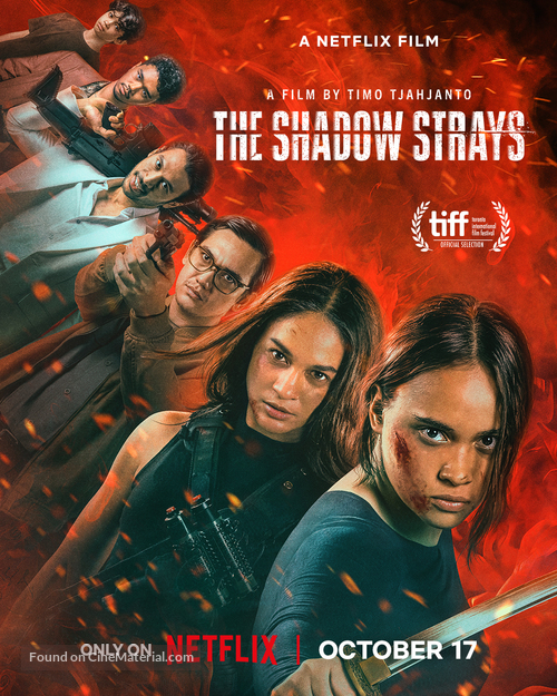 The Shadow Strays - Movie Poster