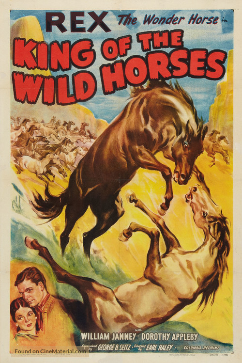 King of the Wild Horses - Movie Poster