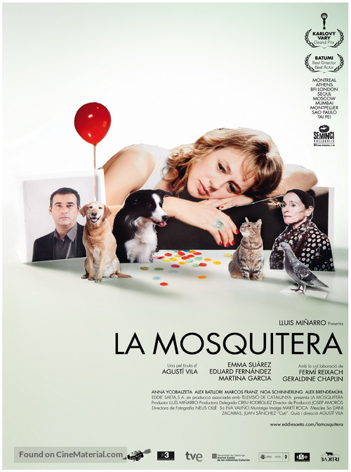 La mosquitera - Andorran Movie Poster