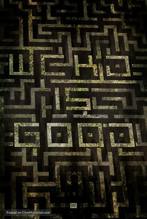 The Maze Runner - Movie Poster