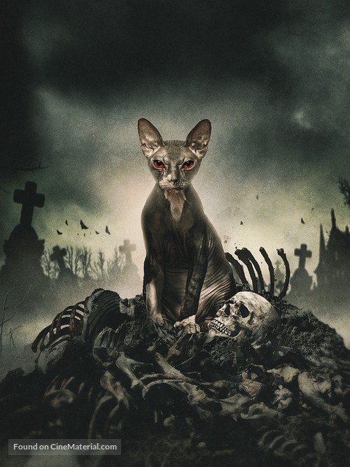 Pet Graveyard - Key art