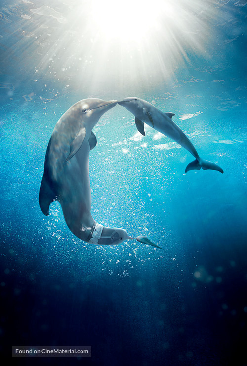 Dolphin Tale 2 - Key art