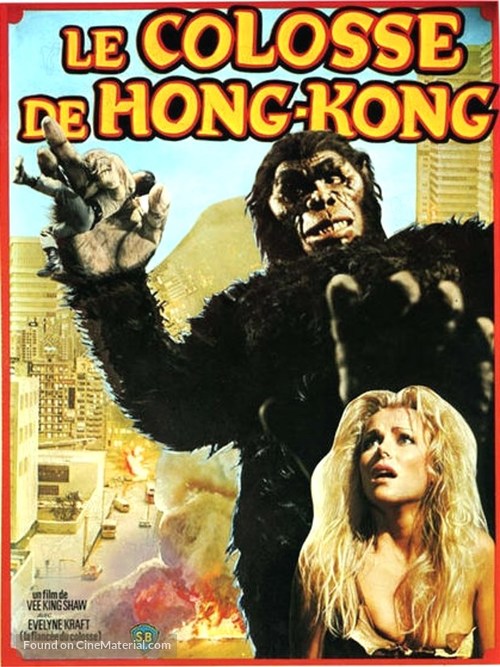 Xing xing wang - French Movie Poster
