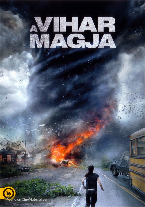 Into the Storm - Hungarian DVD movie cover