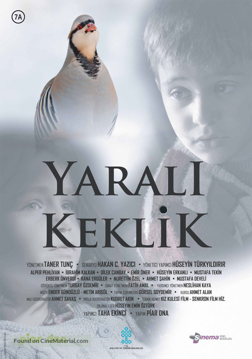 Yarali Keklik - Turkish Movie Poster