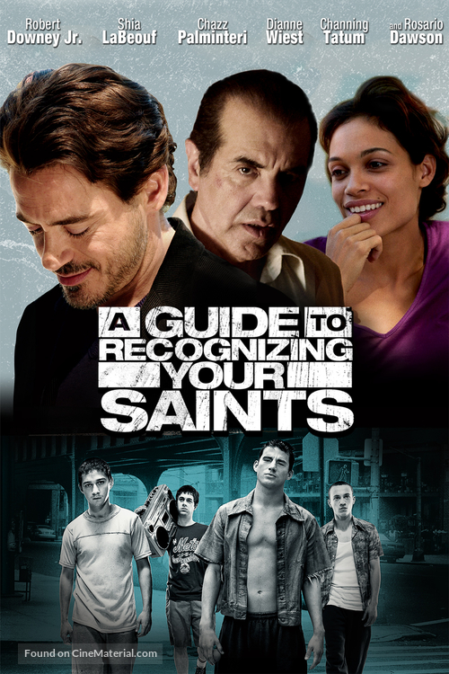 A Guide to Recognizing Your Saints - DVD movie cover