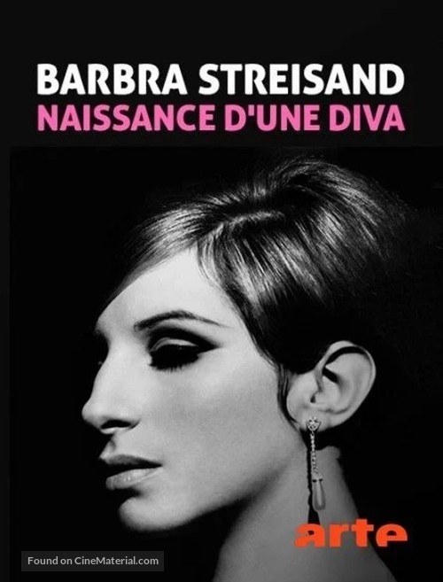 Barbra Streisand: Geburt einer Diva 1942-1984 - French Video on demand movie cover