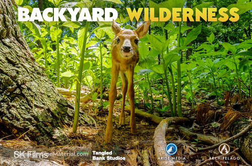 Backyard Wilderness - Movie Poster