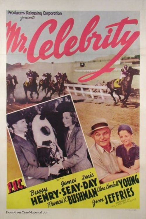 Mr. Celebrity - Movie Poster