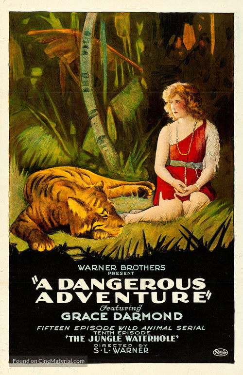 A Dangerous Adventure - Movie Poster