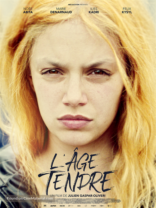 L&#039;&acirc;ge tendre - French Movie Poster