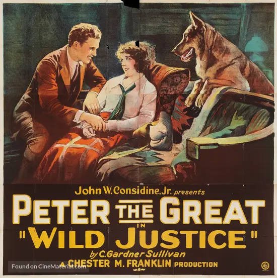 Wild Justice (1925) movie poster