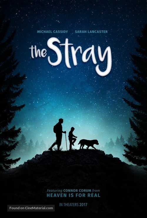 The Stray - Movie Poster