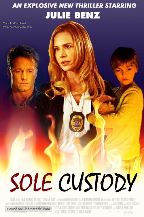 Sole Custody - Movie Poster