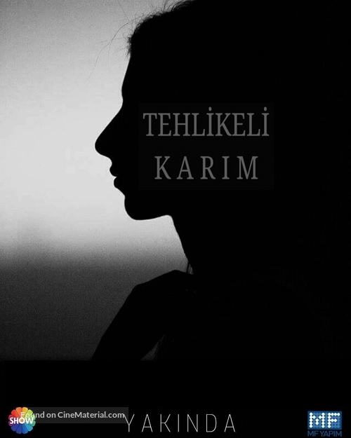 &quot;Tehlikeli Karim&quot; - Turkish Movie Poster