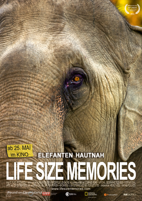 Life Size Memories - Austrian Movie Poster