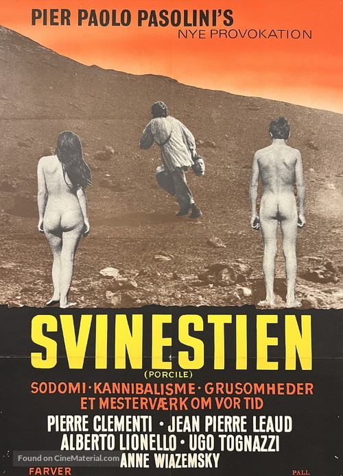 Porcile - Danish Movie Poster