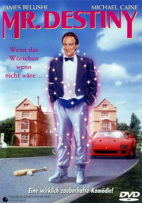 Mr. Destiny - German Movie Cover