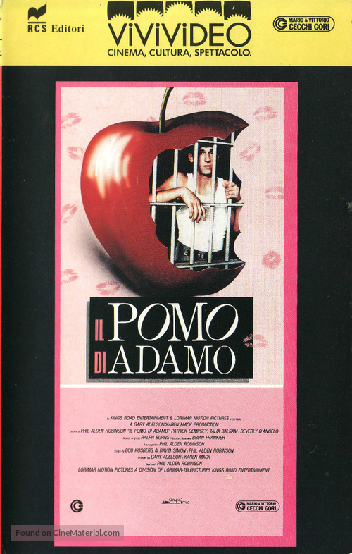 In the Mood - Italian VHS movie cover