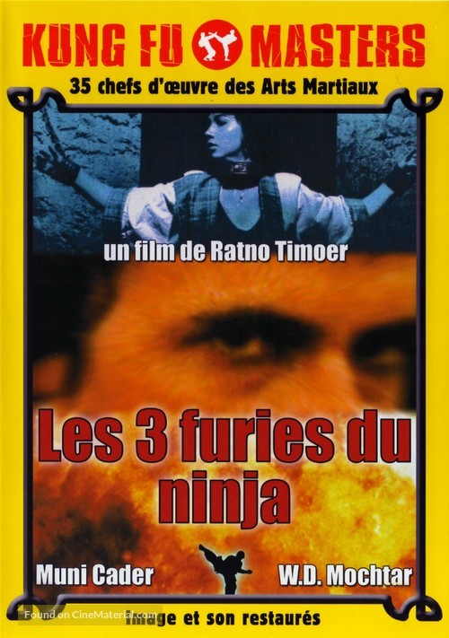 Revenge of the Ninja - French Movie Cover