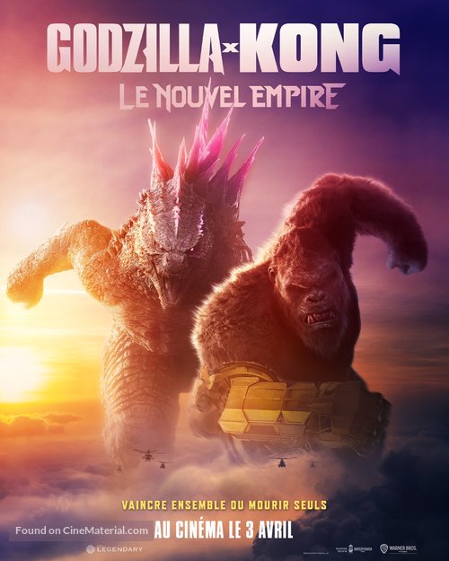 Godzilla x Kong: The New Empire - French Movie Poster